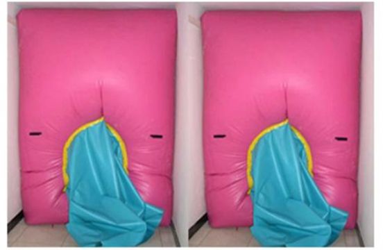 點擊查看詳細信息<br>標題：快速封堵氣囊 閱讀次數(shù)：2860