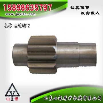 點擊查看詳細信息<br>標題：齒輪軸12 江陰系列配件 閱讀次數(shù)：2328