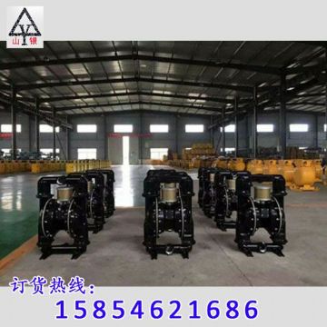 點擊查看詳細信息<br>標(biāo)題：隔膜泵_氣動隔膜泵_隔膜泵價格_隔膜泵 閱讀次數(shù)：2003